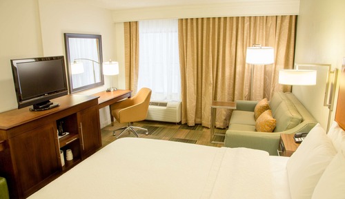 Studio, 1 King Bed with Sofa bed