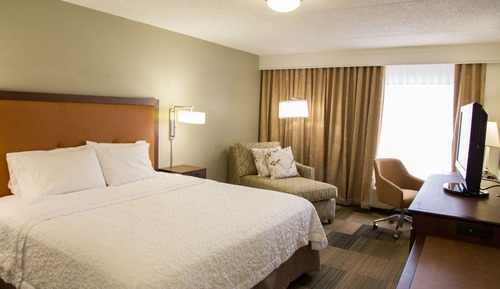 Room, 1 King Bed, Non Smoking