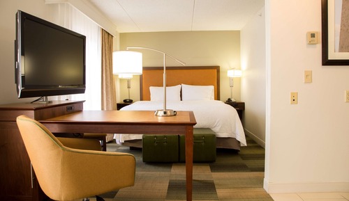 Studio Suite, 1 King Bed with Sofa bed