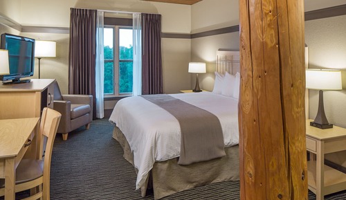 Room, 1 King Bed