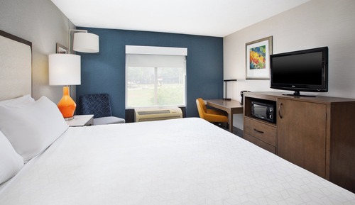 Standard Room, 1 King Bed, Accessible (Mobility, Accessible Tub)
