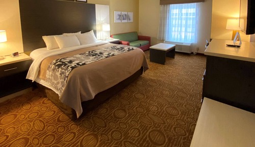 Room, 1 King Bed, Non Smoking (Handicapped)