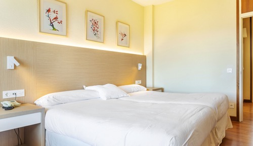 Double Room (with extra bed)