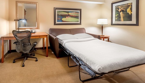 One King Bed Junior Suite