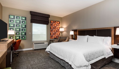 Room, 1 King Bed with Sofa bed, Accessible (Mobility & Hearing, Roll-In Shower)