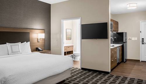 Studio, 1 King Bed with Sofa bed