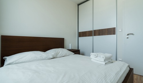 Economy Apartment, 1 Bedroom, City View (Prievozska 10)