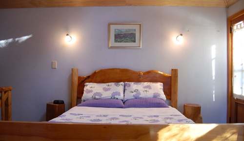 Kowhai Cottage – Pet Friendly