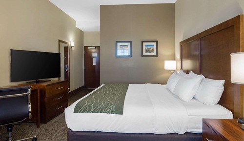 Standard Room, 1 King Bed, Non Smoking