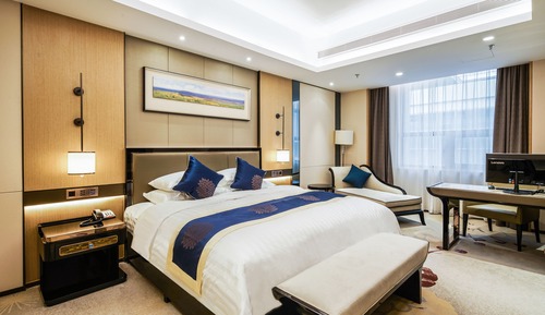 Deluxe Double Room(Chinese Domestic Guests Only)