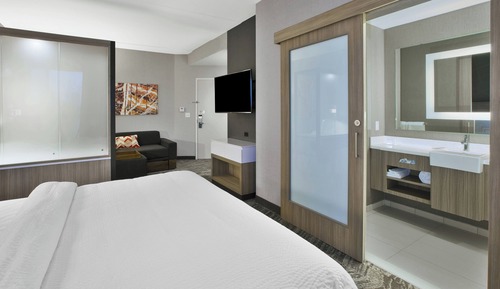 Studio, 1 King Bed with Sofa bed