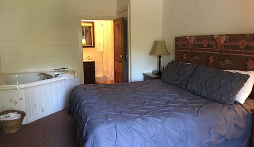 Room, 1 King Bed