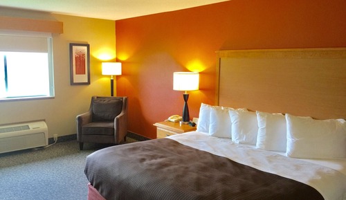 Room, 1 King Bed, Non Smoking