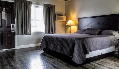 Room, 1 King Bed