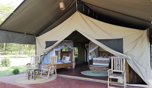 Safari Tent Comfort 1-3 pax