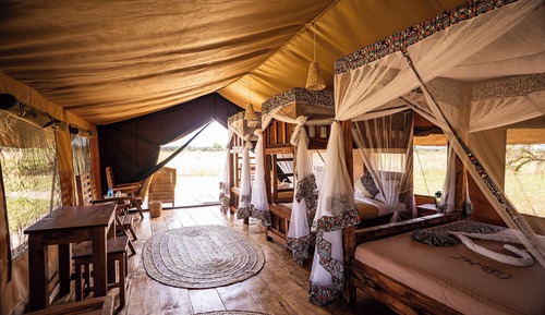 Safari Comfort Family 4-6pax