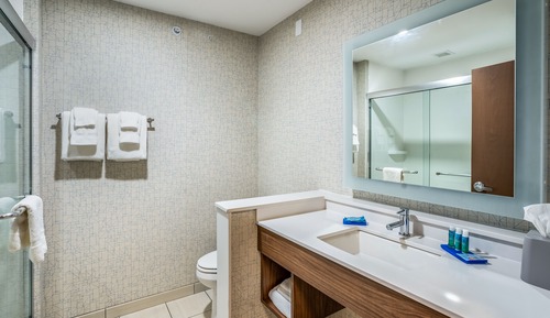 Standard Room, 1 King Bed, Accessible (Mobility, Transfer Shower)