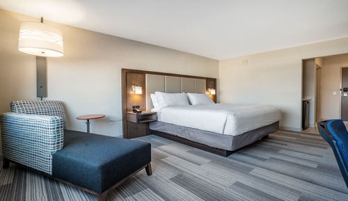 Suite, 1 King Bed with Sofa bed