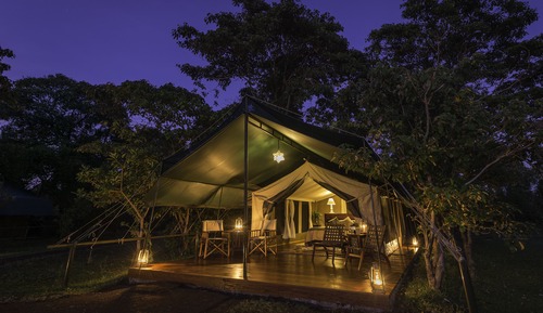 Luxury Tent, 1 Bedroom