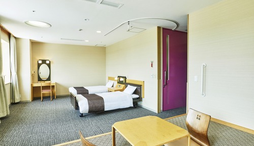 Accessible Room (With bath) Non Smoking