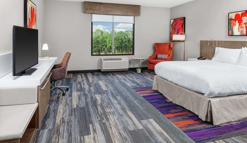 Room, 1 King Bed, Accessible, Bathtub