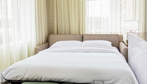 Room, 1 King Bed with Sofa bed