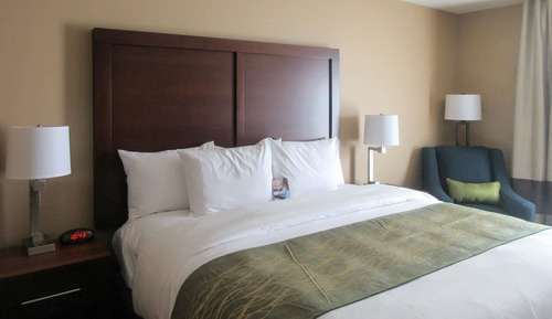 Room, 1 King Bed, Accessible, Non Smoking