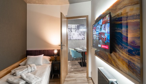Deluxe One-Bedroom Apartment