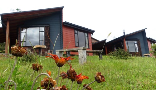 Standard Cabin, 2 Bedrooms, Terrace