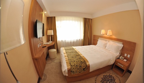 Economy Single Room
