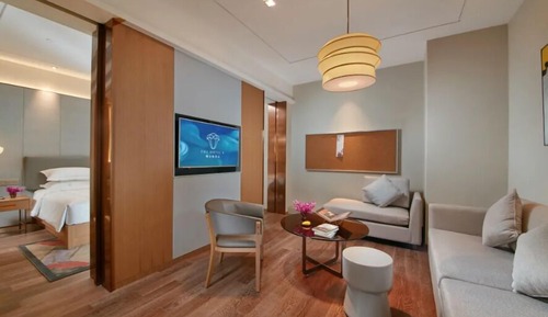 Luxury Suite