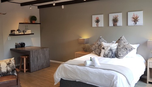 Executive Double Room (The Nguni)