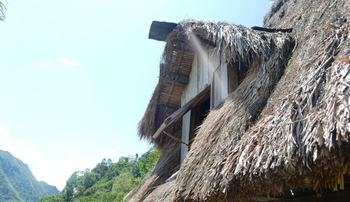 Native Hut