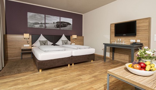 Comfort Double Room Single Use, Accessible, Non Smoking