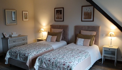 Comfort Suite (2 separate bedrooms with shared bathroom)