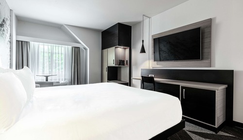 Room, 1 King Bed