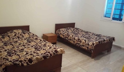 Junior Apartment