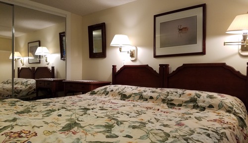 Comfort Room, 1 King Bed, Private Bathroom