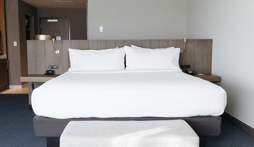 Room, 1 King Bed with Sofa bed