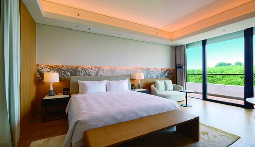 Superior Double Room with Garden View
