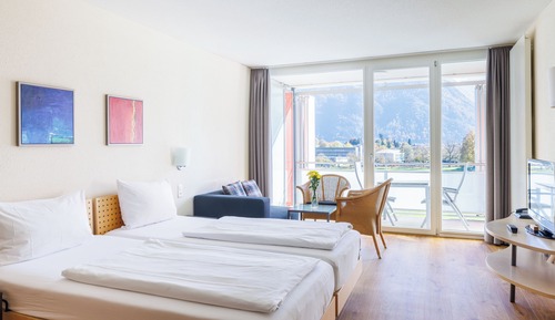 Premium Studio, 2 Twin Beds, Balcony, Mountain View