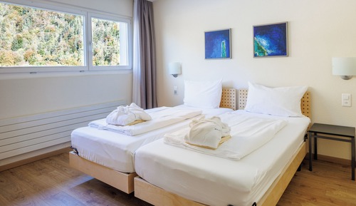Deluxe Apartment, Balcony, Mountain View