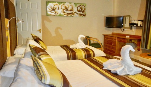 Standard Twin Room