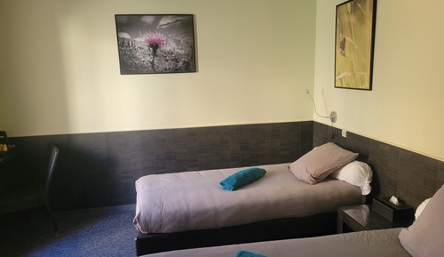Standard Twin Room, Ensuite (Twin)