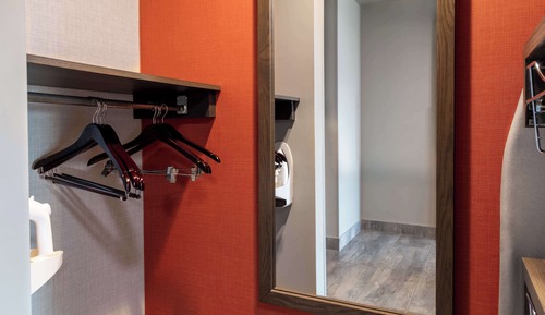 Room, 1 King Bed, Accessible (Roll-In Shower)