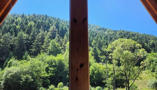 Family Tree House
