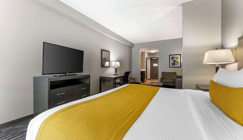 Suite, 1 King Bed, Non Smoking, Refrigerator & Microwave (Shower Only)