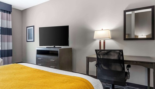 Standard Room, 1 King Bed, Non Smoking, Refrigerator & Microwave