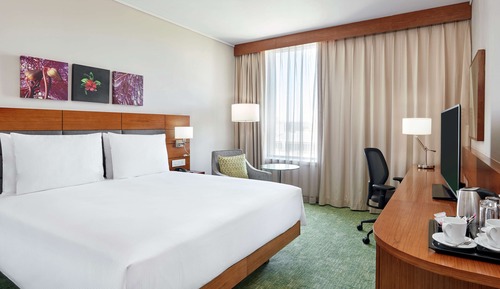 Room, 1 King Bed, Accessible
