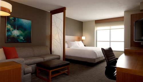 Room, 1 King Bed with Sofa bed